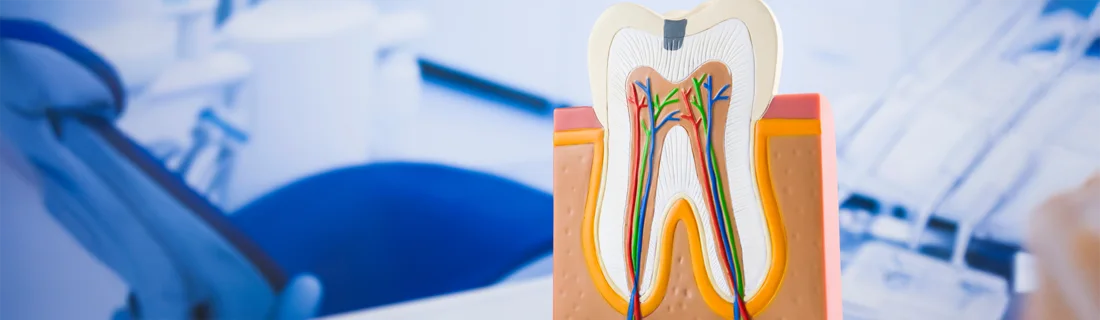 About Our Mill Creek WA Dental Office